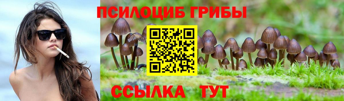 Магнитогорск  Псилоцибиновые грибы Cubensis  Вход с VPN 
